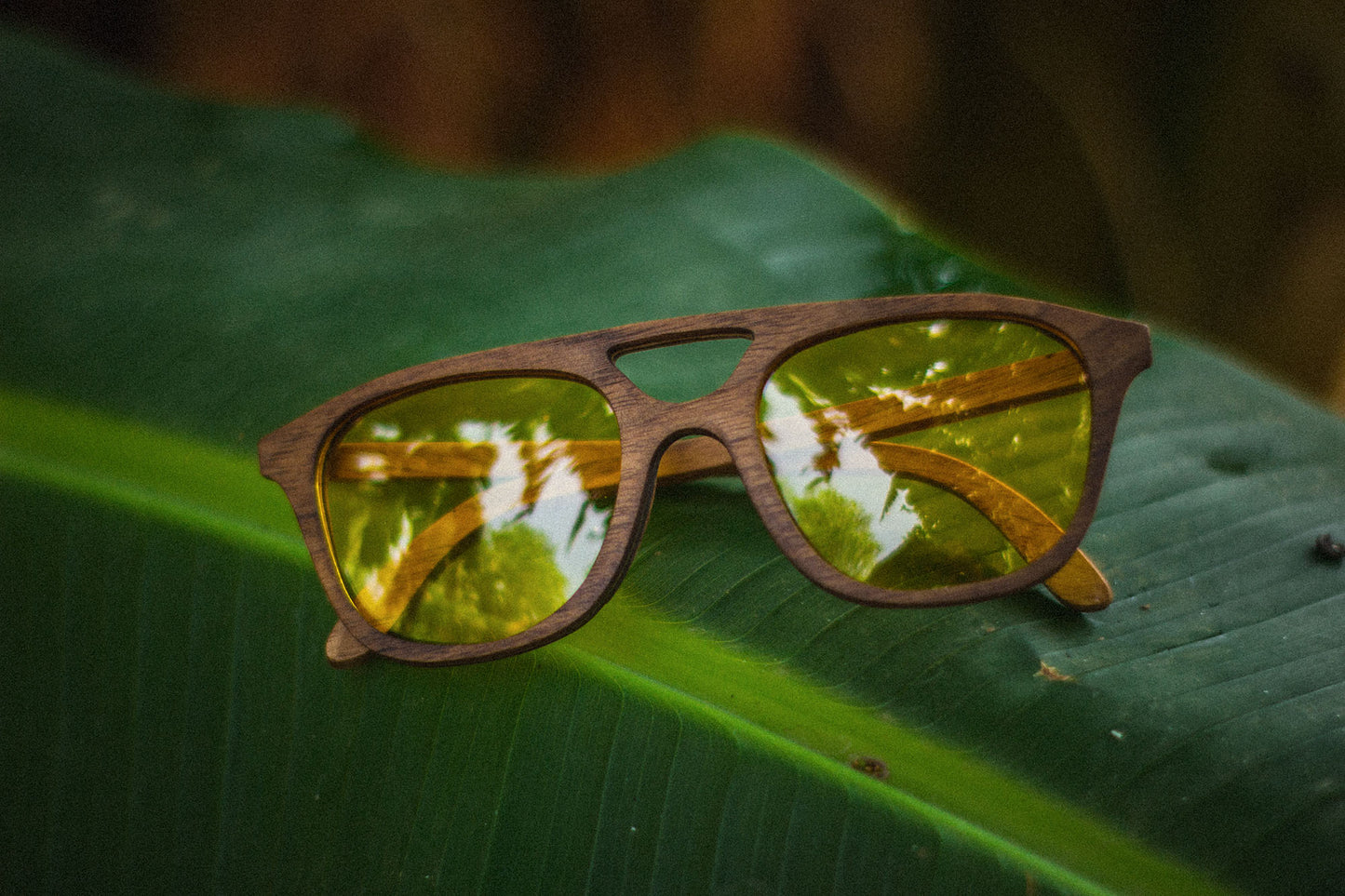 Lentes Bang sobre una hoja verde