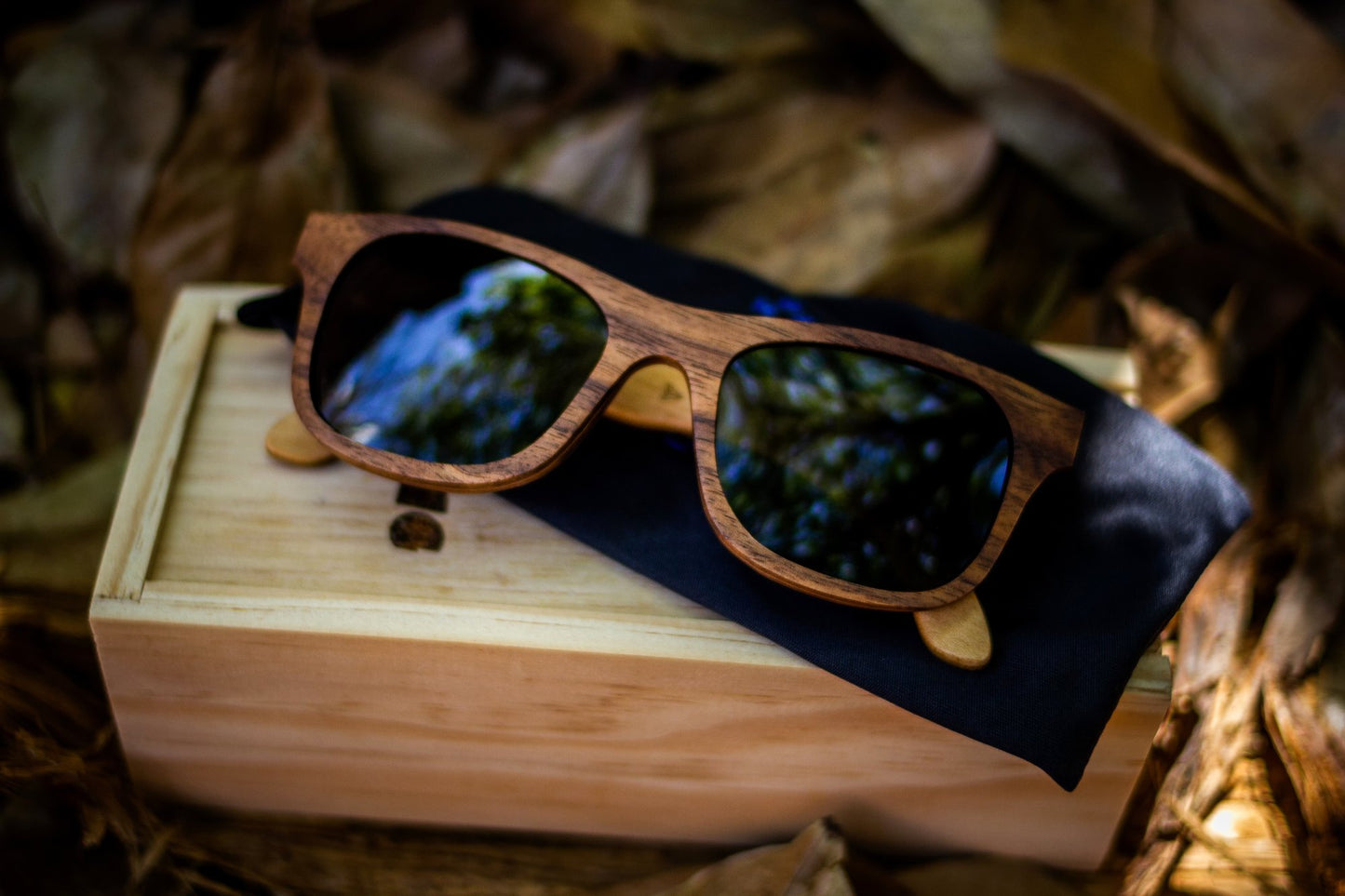 Lentes de madera Bang, micas polarizadas, fondo de hojas secas, sobre caja de madera, modelo nativo nogal