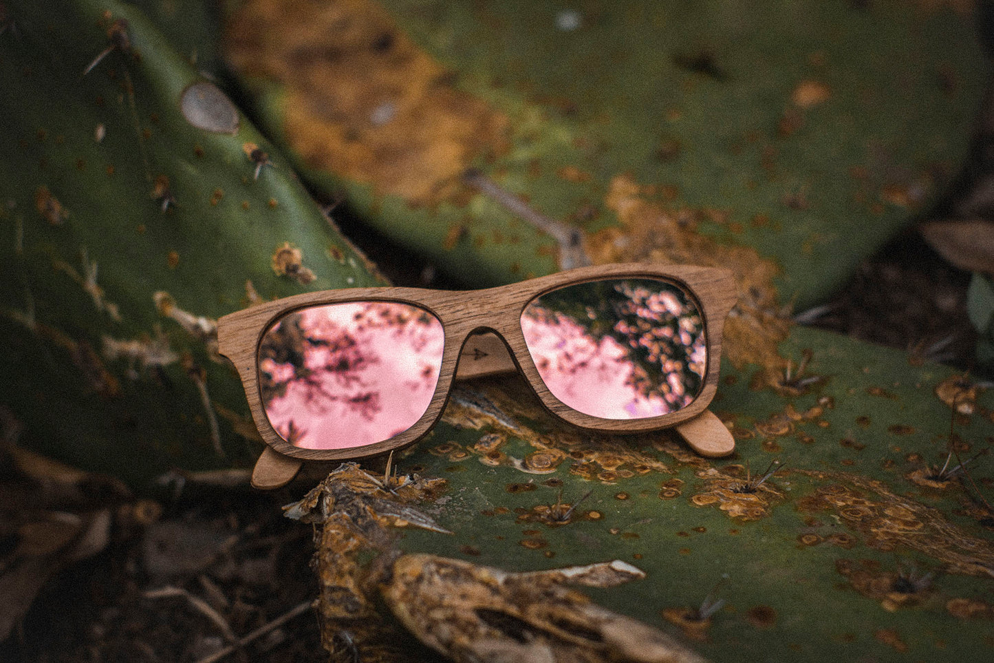 Lentes de madera Bang, micas polarizadas, micas rosa espejo, lentes sobre nopales