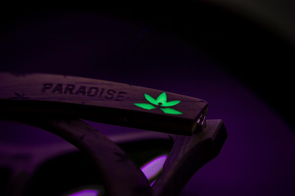 Edición Especial Paradise