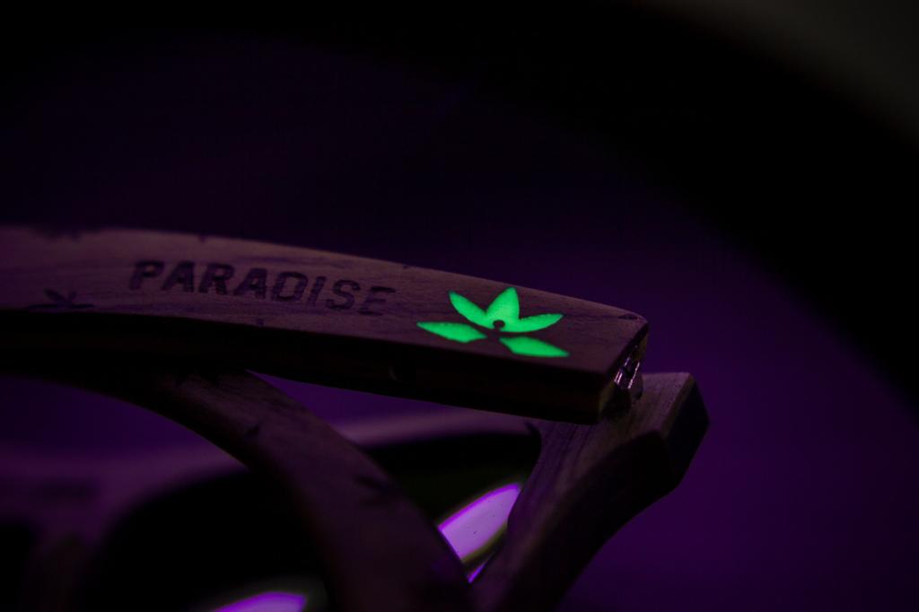 Detalle de brillo de logo de lentes paradise de bang, edición especial, luz uv, se carga con el sol